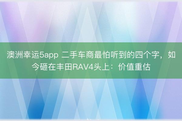 澳洲幸運(yùn)5app 二手車商最怕聽到的四個字,如今砸在豐田RAV4頭上:價值重估