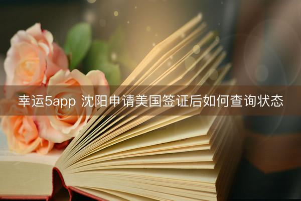 幸運(yùn)5app 沈陽申請美國簽證后如何查詢狀態(tài)