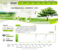 數(shù)字化轉(zhuǎn)型的關(guān)鍵 昆山企業(yè)受益于定制網(wǎng)站開(kāi)發(fā)與全方位IT服務(wù)